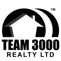 Team 3000 Realty logo